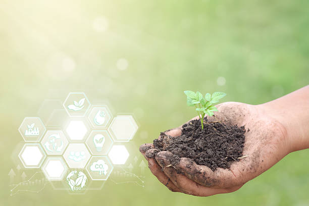 istock ESG and Green Technology Digital Transformation Concept with Hand Holding Small Plant on Bokeh Background 2252324357
