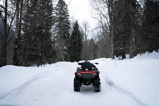 An ATV travels on a snowy path through a forest with tall trees in winter.