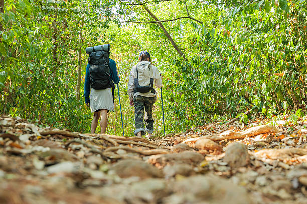 istock Travel young couple hike walk through dense forest, people enjoy invigorating mountain adventure, exploring stunning natur landscape, memorable journey together, active outdoor lifestyle pursuit 2252334455