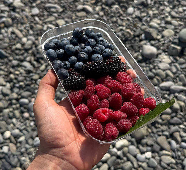 Hand holds a container filled with blueberries, blackberries, and raspberries on stones.