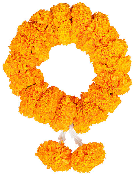 Marigold flower garland isolated on white background with clipping path