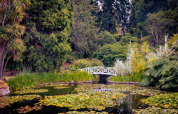 Kariya Park Pavilion pond. A Japanese garden in downtown Mississauga, Ontario, Canada.