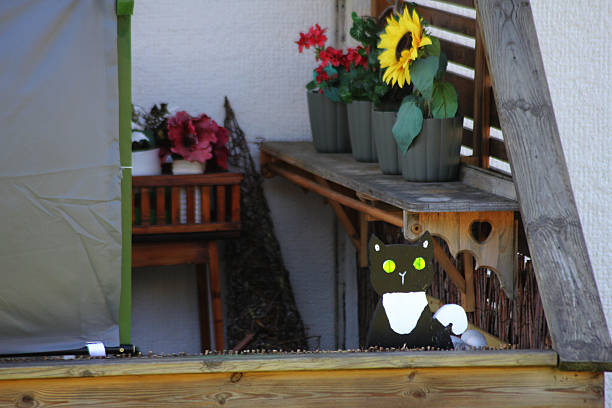 A fake cat looking in the camera