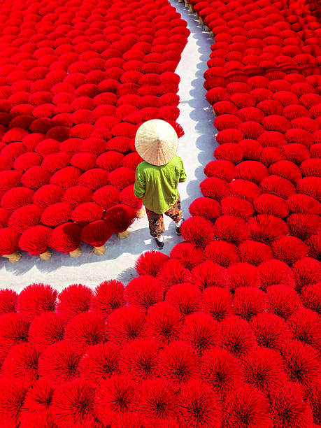 istock White man wearing a traditional Vietnamese conical hat walking between rows of red incense sticks drying outdoors, Vietnam 2252339310