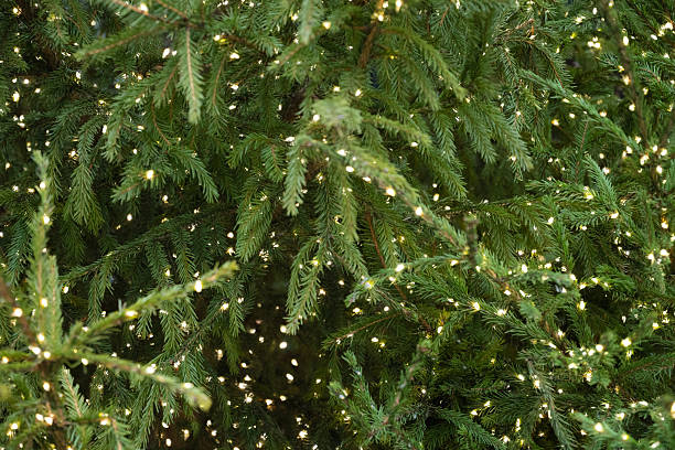 istock Christmas fir branches with warm lights background. Xmas Abstract pattern. 2252341027