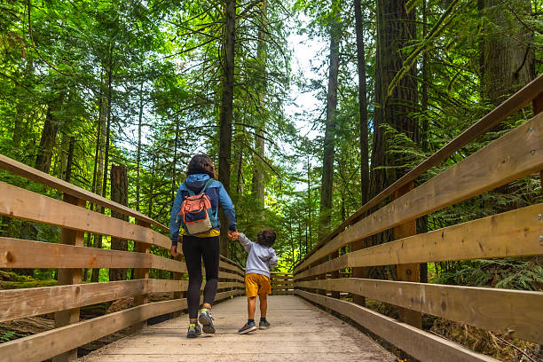 istock Mother and son walking on a wooden path in cathedral grove forest 2252342421