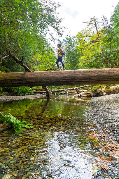 istock Hiker walking on fallen log bridge over river in cathedral grove forest 2252342450