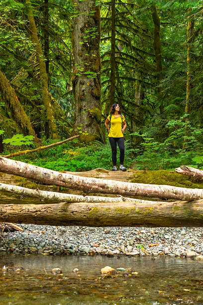 istock Hiker exploring lush cathedral grove forest on vancouver island 2252342482