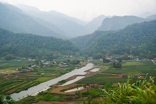 Drone shot of peaceful rivers snaking through limestone cliffs and emerald-green rice fields in Ninh Bình Province.