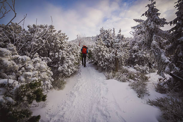Frozen winter scenery on the trail to Babia Gora summit. Snow-covered trees, cold morning atmosphere and mountain wilderness in the Beskid Zywiecki range.