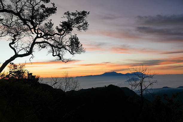 Peaceful sunset over Mount Bromo with warm tones distant mountain shapes and silhouette of tree in the foreground.