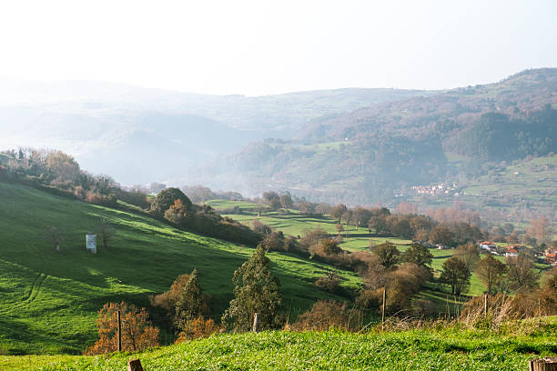 Scenic view of a lush green valley surrounded by rolling hills under natural daylight. Peaceful and serene landscape conveying nature, outdoor recreation, travel, environment and rural life. Ideal for concepts of eco-tourism, hiking, countryside and sustainable living.