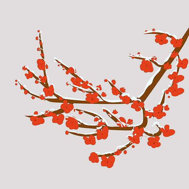 istock Blooming branch of tree plum, flat vector isolated illustration, element, korean, chinese scene 2252352702
