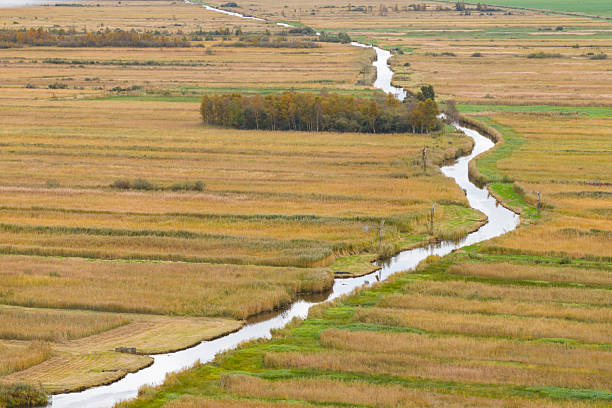 Canals and reed landscape in the Weerribben-Wieden wetland nature reserve near Ossenzijl in Overijssel, The Netherlands during a fall day.