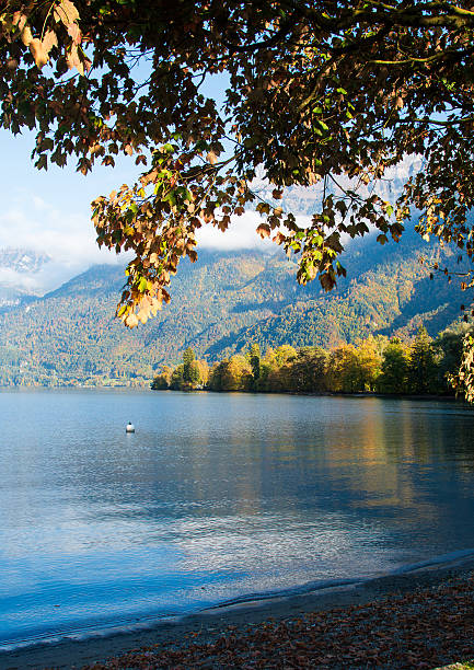 istock Autumn lake scenery in Interlaken, Switzerland 2252355669