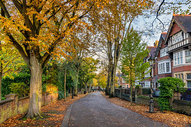 istock Autumn colours in New Walk, Leicester 2252355934