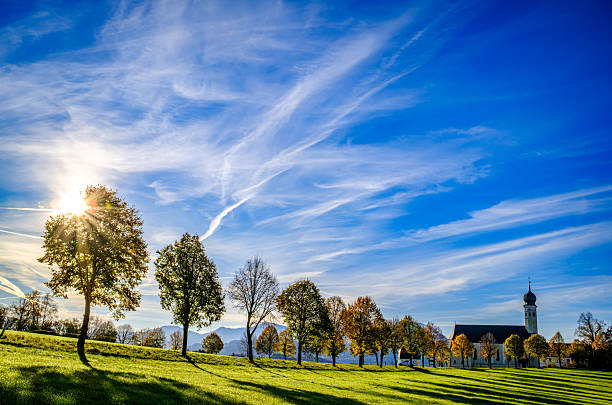 The day is setting through the trees in autumn