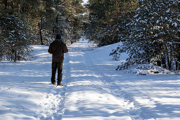 Hoenderloo, The Netherlands – February 12th, 2021: A man in winter hunting gear, seen from behind, looks out over a forest path covered in a thick layer of snow. Bushes flank the path, and at the end of the path, a mouflon crosses the path.