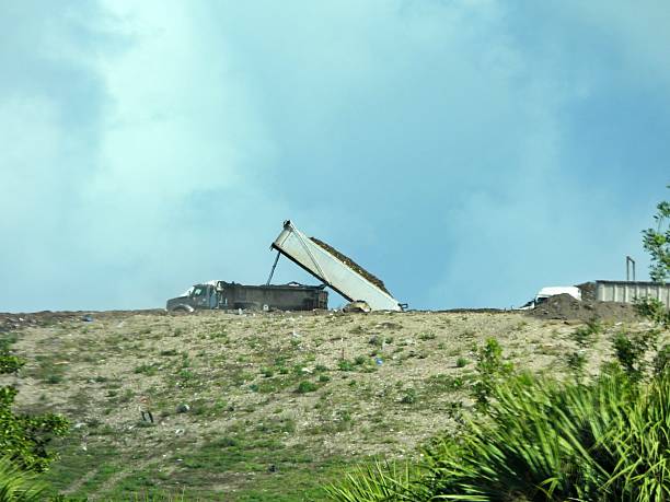 Work of a bulldozer at a landfill