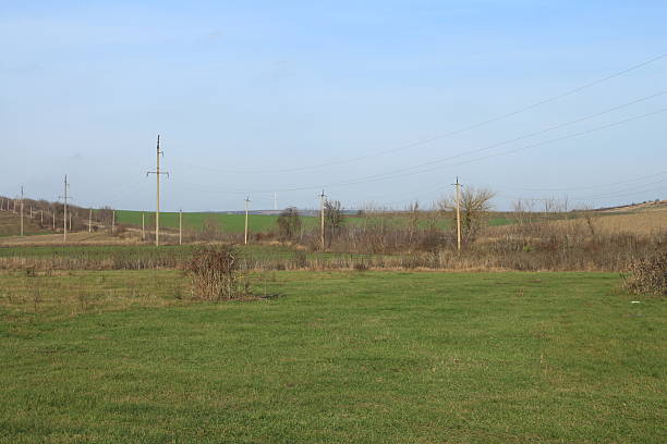 A grassy field with power lines. Grass. Sky. Outdoor. Field. Green