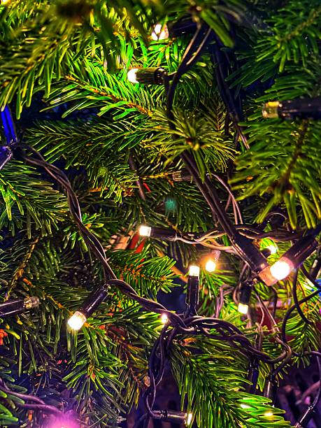 A close-up view of evergreen branches intertwined with warm white string lights captures the quiet magic of the holiday season. The rich green needles contrast with the soft glow of the bulbs, creating a sense of depth, warmth, and intimacy. The tangled wires and gentle illumination evoke a natural, unpolished charm, suggesting a moment of calm and reflection amid festive decorations.