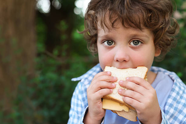 istock Cute little boy eating sandwich outdoors, space for text. School lunch 2252367943