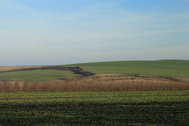 istock A field with grass and a blue sky 2252368220