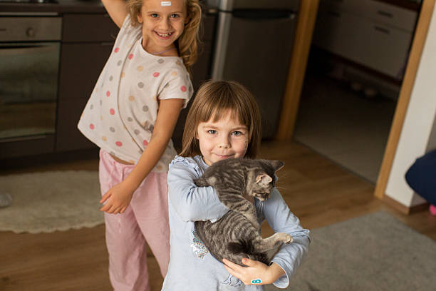 two girls presenting gray cat to camera, kitchen doorway background, playful pose, matching pajamas, proud showmanship, sibling