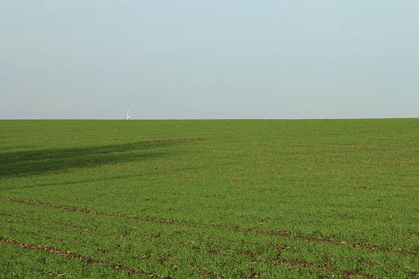 A field of grass. Text. Grass. Outdoor. Field. Green