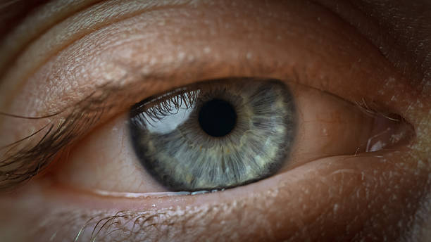 istock Eye looking next to the camera, extreme close up 2252369112