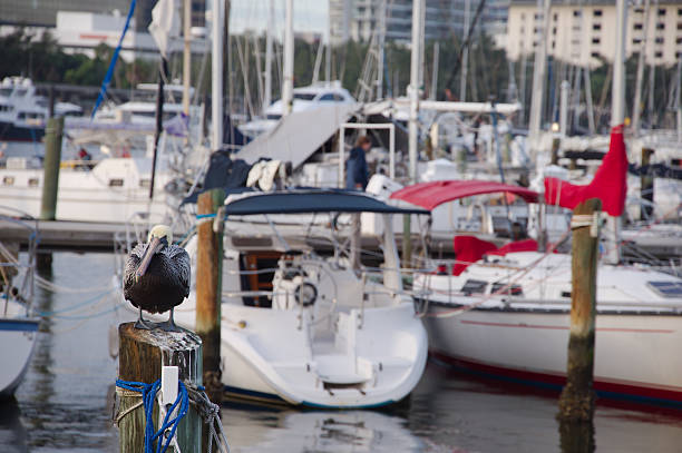 Reflections ripple on the water as distant boats and pilings create a peaceful maritime scene.