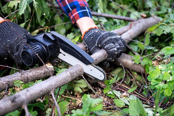 istock A man in gloves saws a wooden tree trunk with a saw. 2252372332