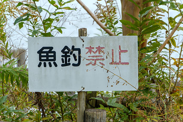 istock Warning Sign in Overgrown Nature Area 2252374376