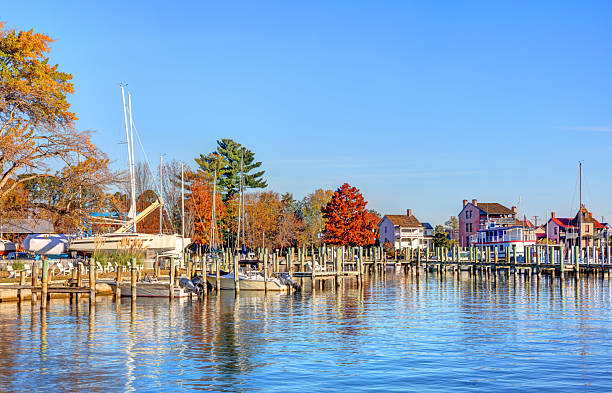 Boat Dock - Washington North Carolina