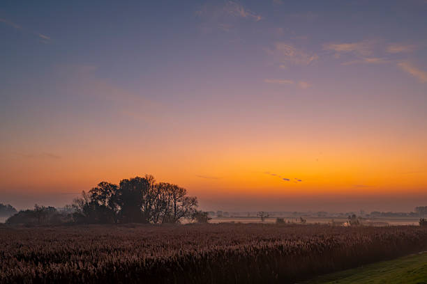 IJssel river landscape during a foggy autumn morning near Zwolle and Kampen seen from the levee.