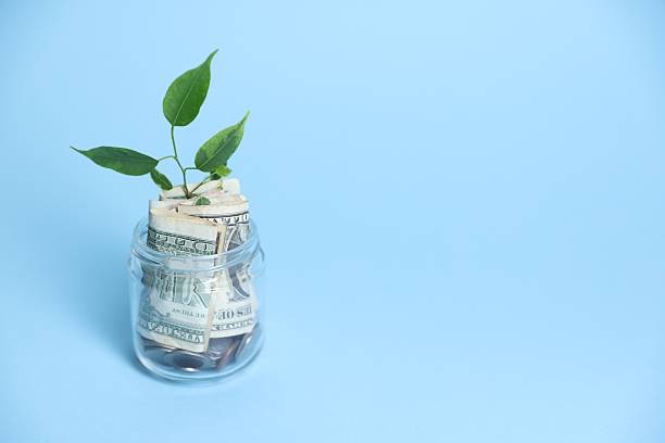 istock Glass jar with sprout, coins and dollars on light blue background, space for text 2252376947