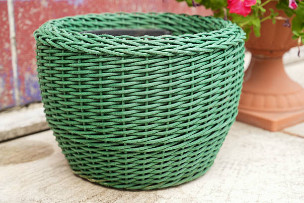 Mistletoe in basket