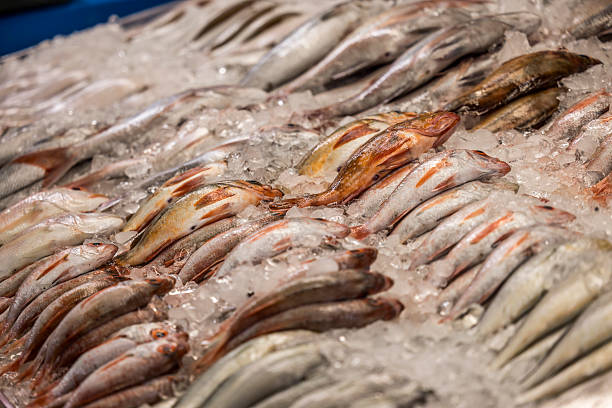 Fresh fish displayed on ice at a seafood market, showing a variety of fish arranged for sale and emphasizing freshness, texture, and food quality.