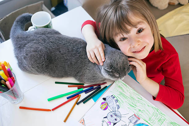istock Top view of a boy petting his cat while drawing its portrait 2252387491