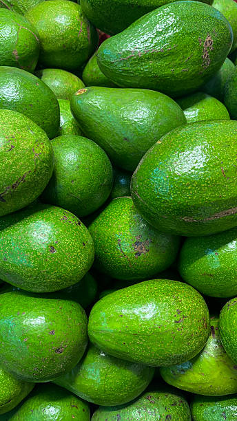 istock A Full Frame Background of Fresh Green Avocados 2252388104