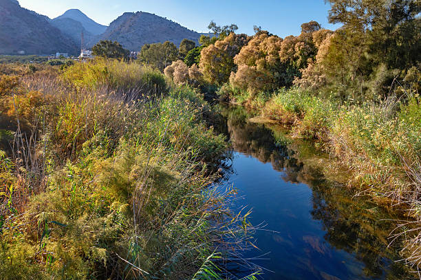 istock River Almiros with lush vegetation, hill on in background, Crete. 2252388721