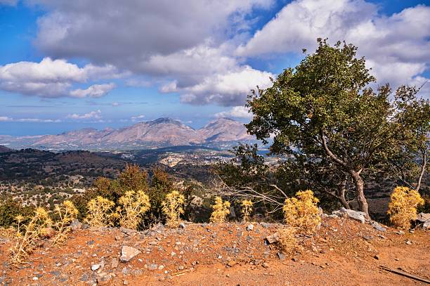 Countryside on Crete in autumn sunny day, dried vegetation and tree in foreground, tall hill and Talean mountain on horizon, Greece.
