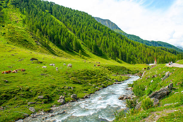 istock Valle Aurina, Alto Adige, Italy 2252391682