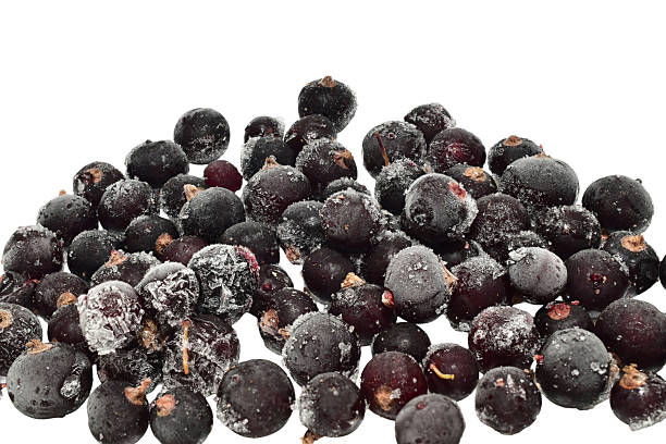 A small pile of frozen black currants on a white background.