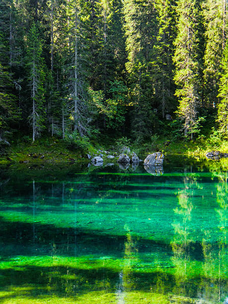 Carezza lake in front of Latemar, Lago di Carezza, Carezza, Dolomites, Trentino Province, Province of South Tyrol, August 2021, Italy