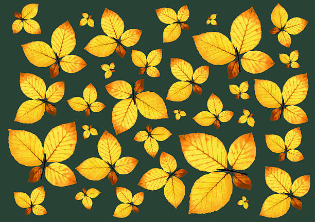 Stylized yellow butterflies with leaf-shaped wings arranged on a dark green background in a seamless nature-inspired pattern.