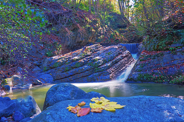 A peaceful autumn scene featuring colorful fallen leaves arranged on a rock in the foreground, with a small waterfall flowing smoothly over layered stones in the background. Long-exposure water, rich forest textures, and soft natural light create a calm and atmospheric landscape. Ideal for themes of autumn, nature, tranquility, seasons, and outdoor exploration.