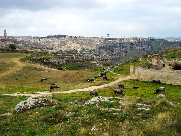 Matera, Basilicata - Ancient town of Matera (Sassi di Matera), European Capital of Culture 2019, Sassi District of Matera, Italy