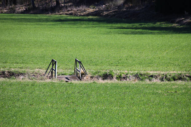 A little bridge on the grasslands