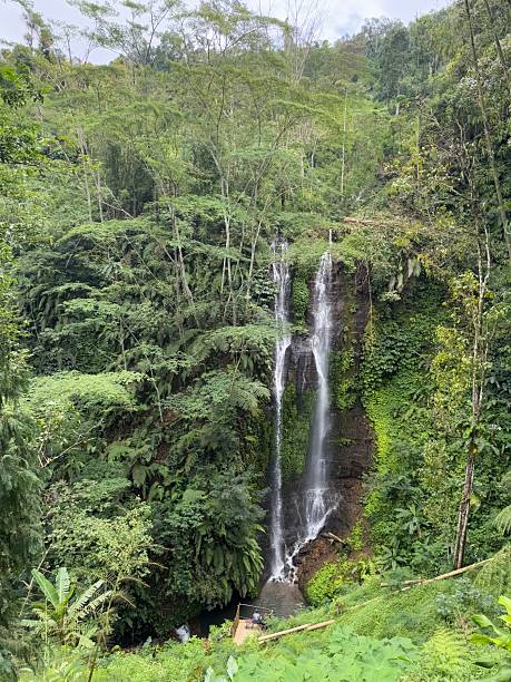 istock Waterfall landscape in Munduk, Bali 2252412896